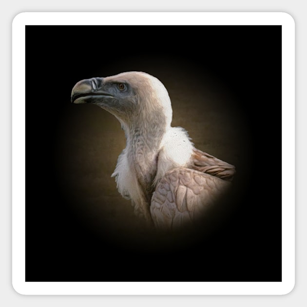 Vulture Sticker by Guardi